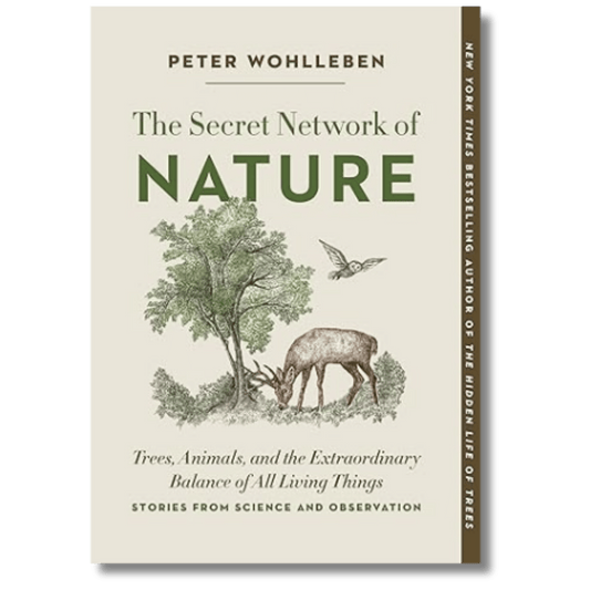 The Secret Network of Nature: The Delicate Balance of All Living Things