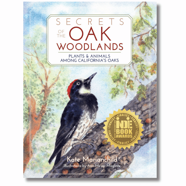 Secrets of the Oak Woodlands: Plants and Animals among California’s Oaks