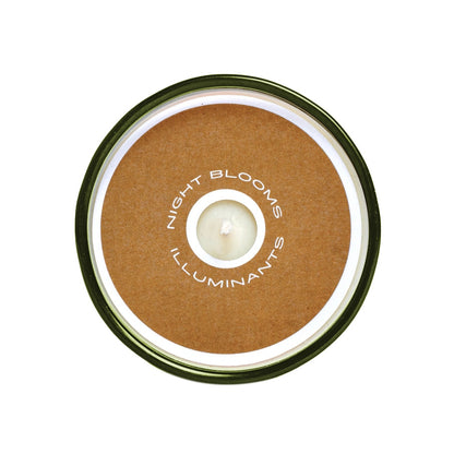 Sespe Pinecone Candle