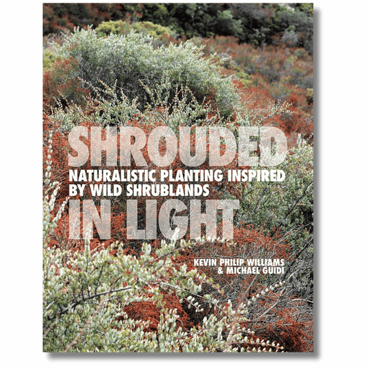 Shrouded in Light: Naturalistic Planting Inspired by Wild Shrublands