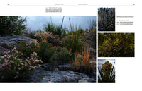 Shrouded in Light: Naturalistic Planting Inspired by Wild Shrublands