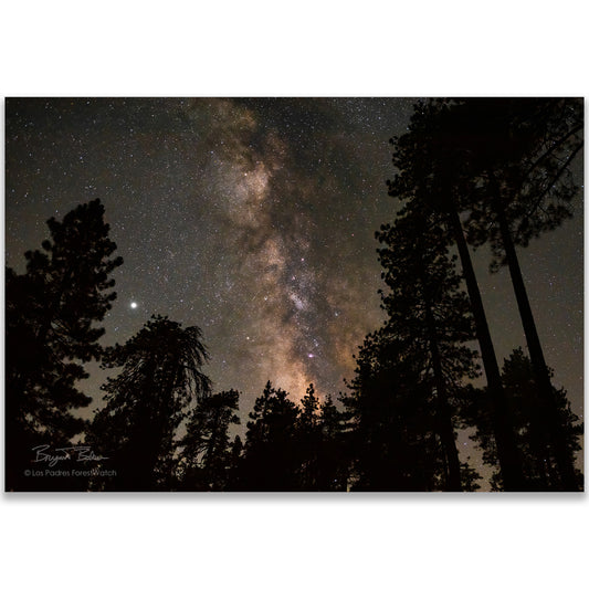 Stars Over Pine Mountain