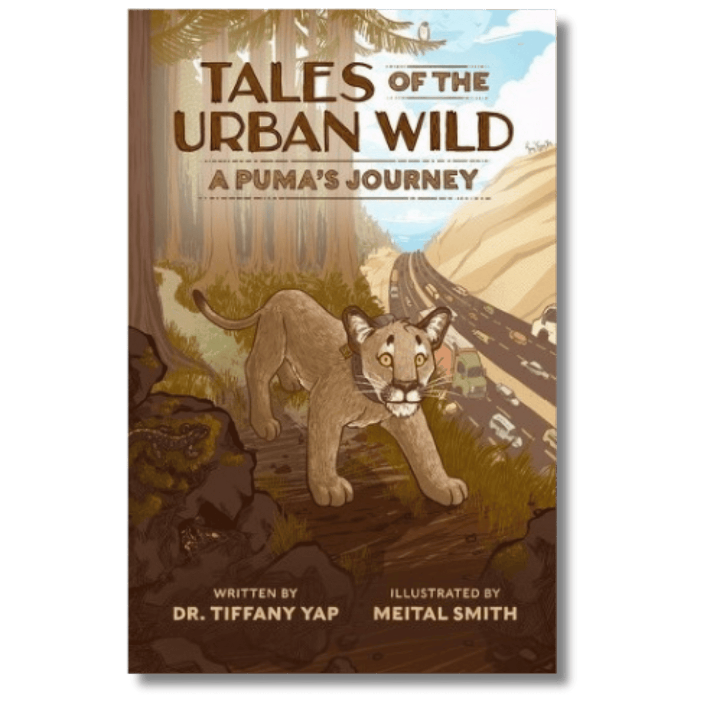 Tales of the Urban Wild: A Puma's Journey