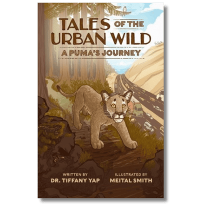 Tales of the Urban Wild: A Puma's Journey
