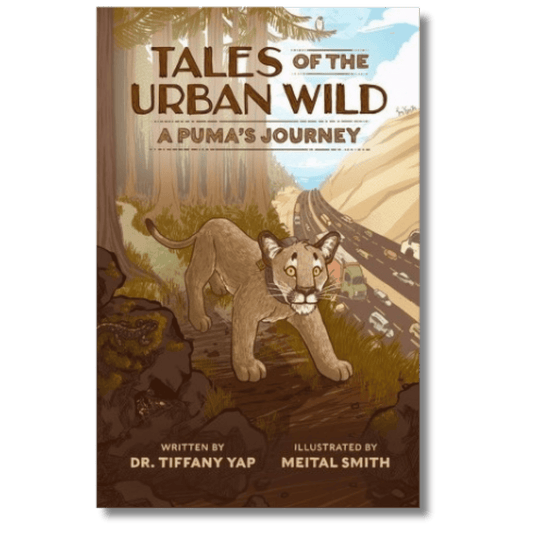 Tales of the Urban Wild: A Puma's Journey