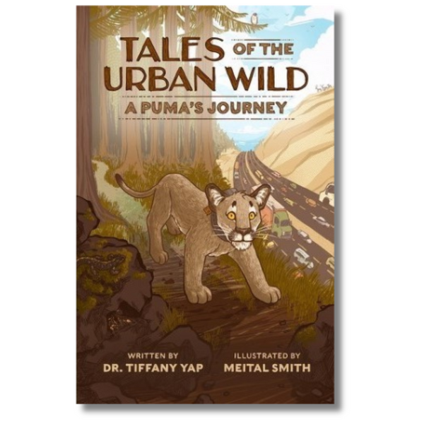 Tales of the Urban Wild: A Puma's Journey