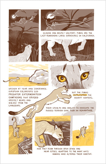 Tales of the Urban Wild: A Puma's Journey
