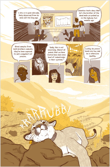 Tales of the Urban Wild: A Puma's Journey