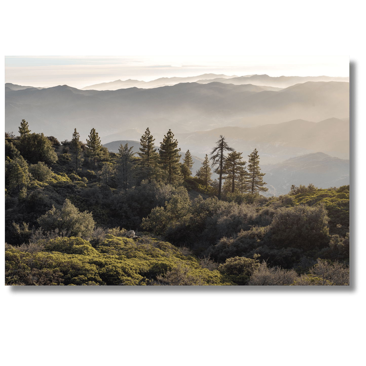 View from Pine Mountain