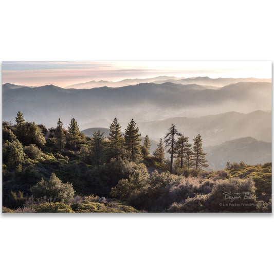 View from Pine Mountain