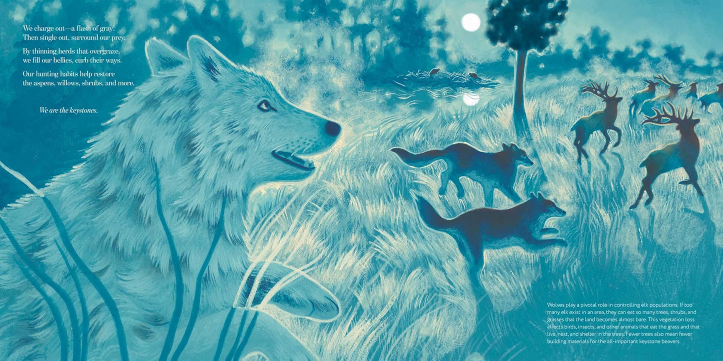 We Are the Keystones: Animals That Hold Habitats Together