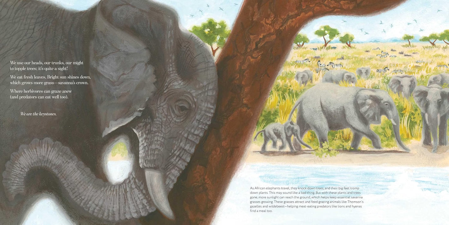 We Are the Keystones: Animals That Hold Habitats Together