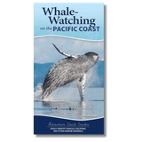 Whale Watching on the Pacific Coast