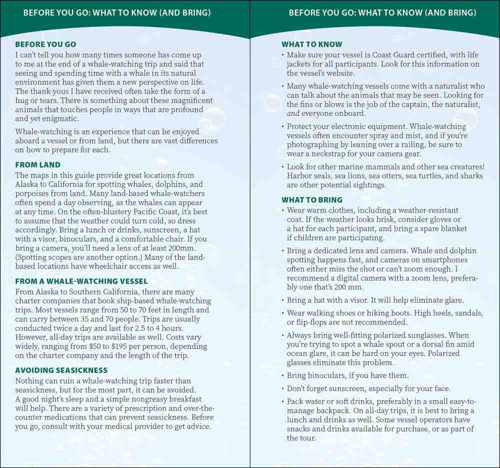 Whale Watching on the Pacific Coast