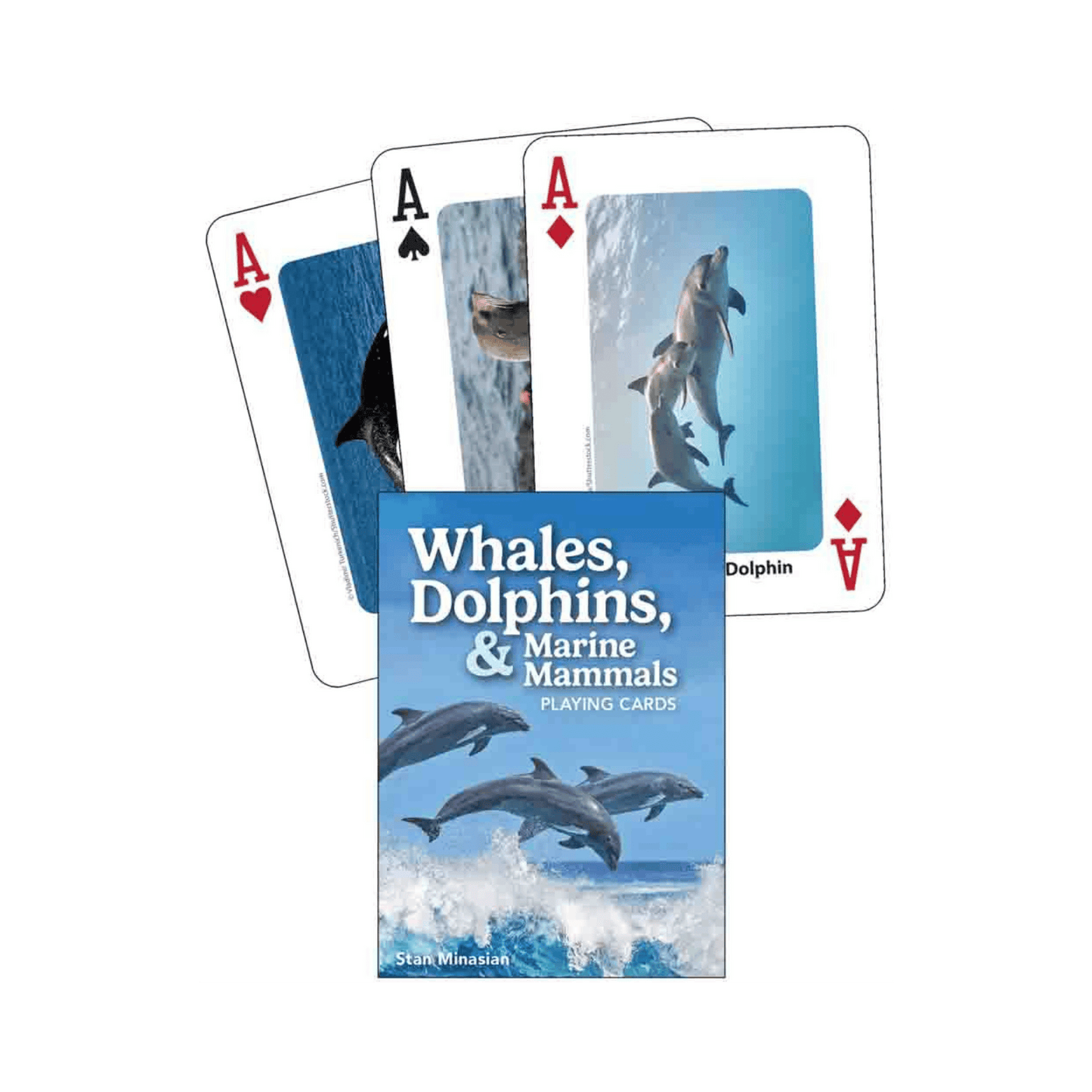 Whales, Dolphins, and Marine Mammals Playing Cards