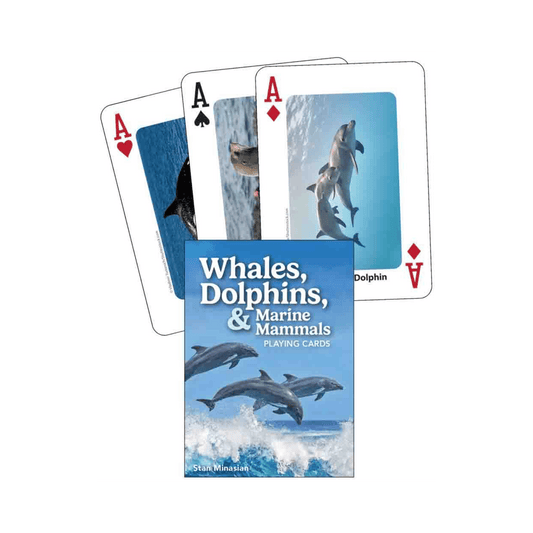Whales, Dolphins, and Marine Mammals Playing Cards