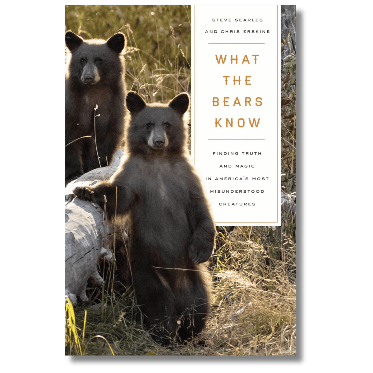 What the Bears Know: How I Found Truth and Magic in America's Most Misunderstood Creatures