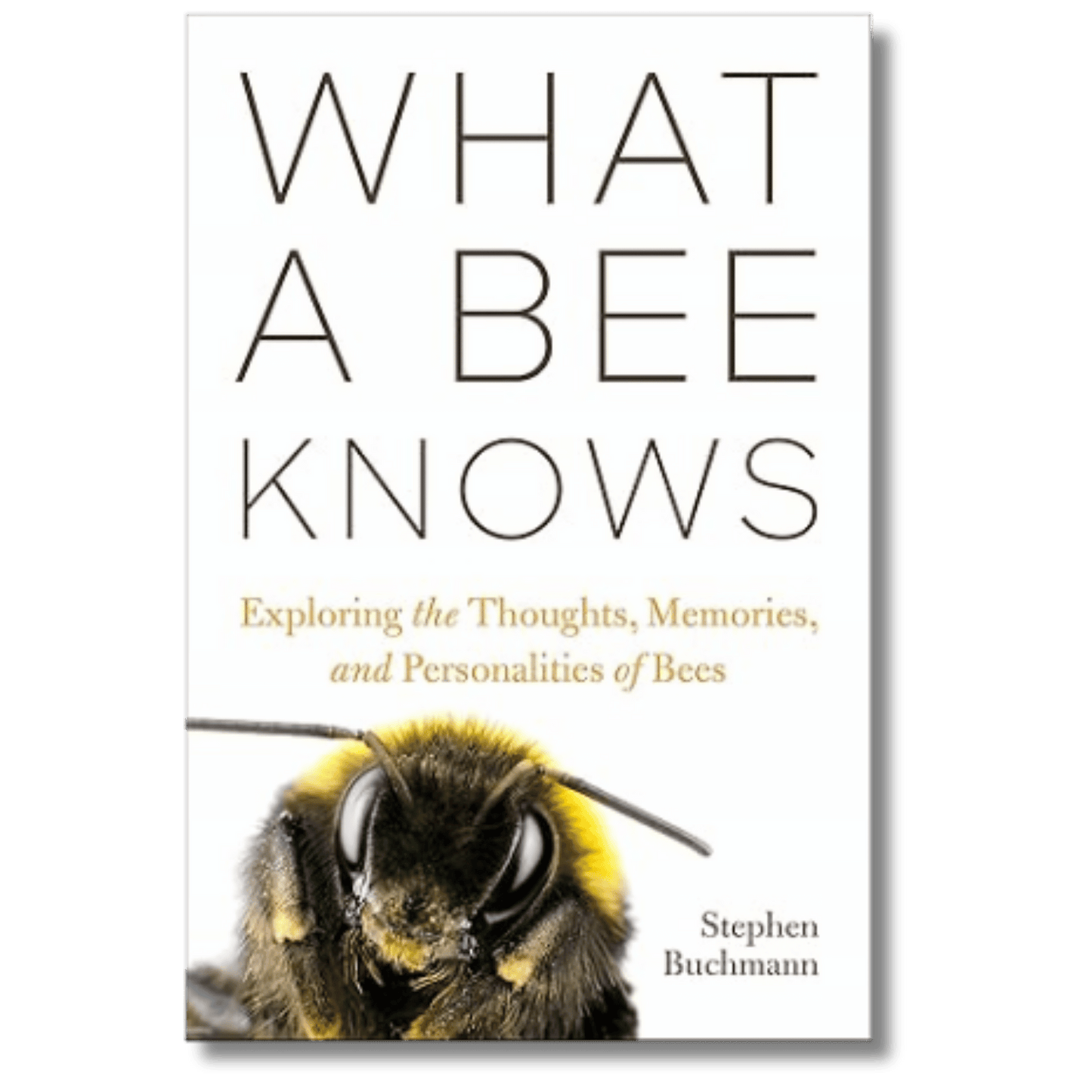 What a Bee Knows: Exploring the Thoughts, Memories, and Personalities of Bees