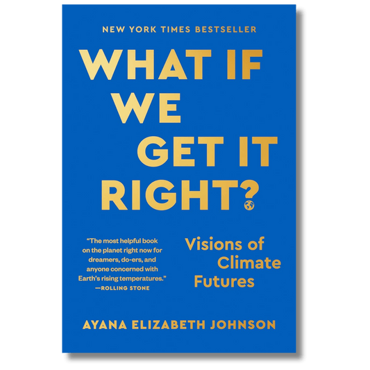 What If We Get It Right?: Visions of Climate Futures