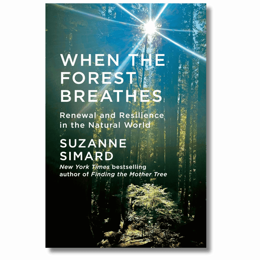 When the Forest Breathes: Renewal and Resilience in the Natural World