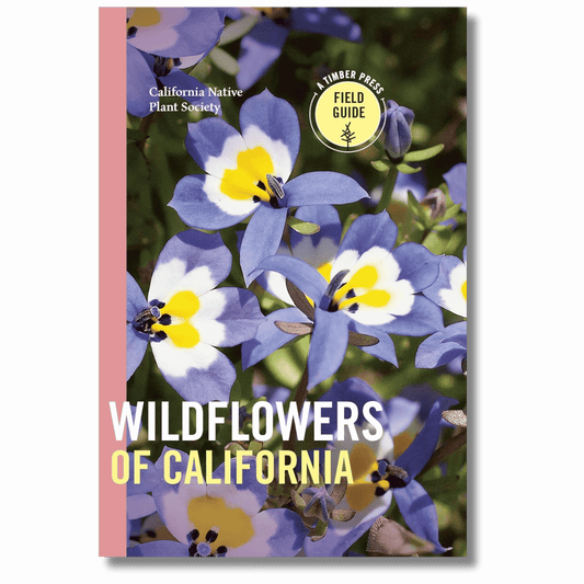 Wildflowers of California: A Field Guide