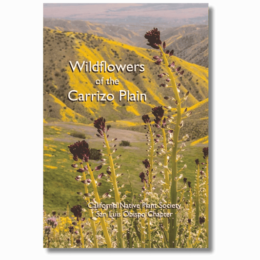 Wildflowers of the Carrizo Plain
