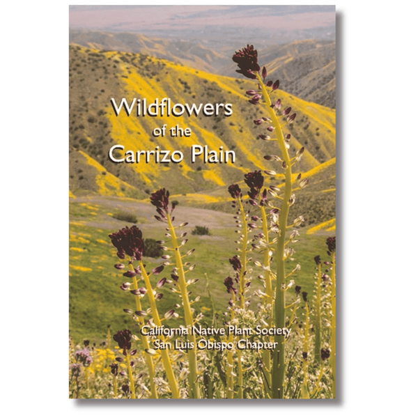 Wildflowers of the Carrizo Plain