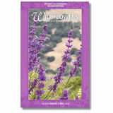 Wildflowers of San Luis Obispo