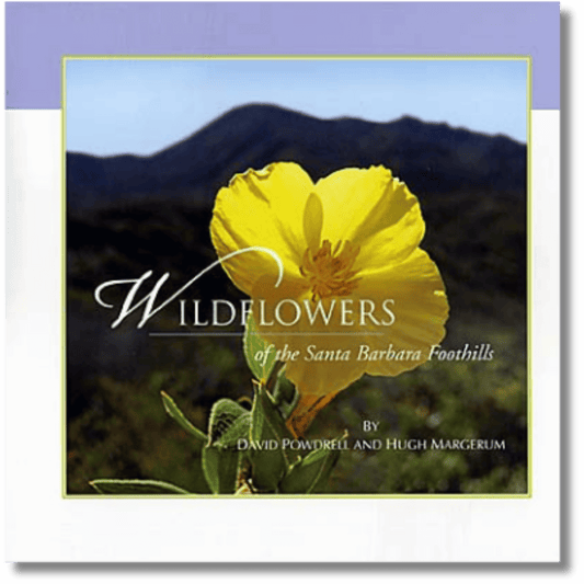 Wildflowers of the Santa Barbara Foothills