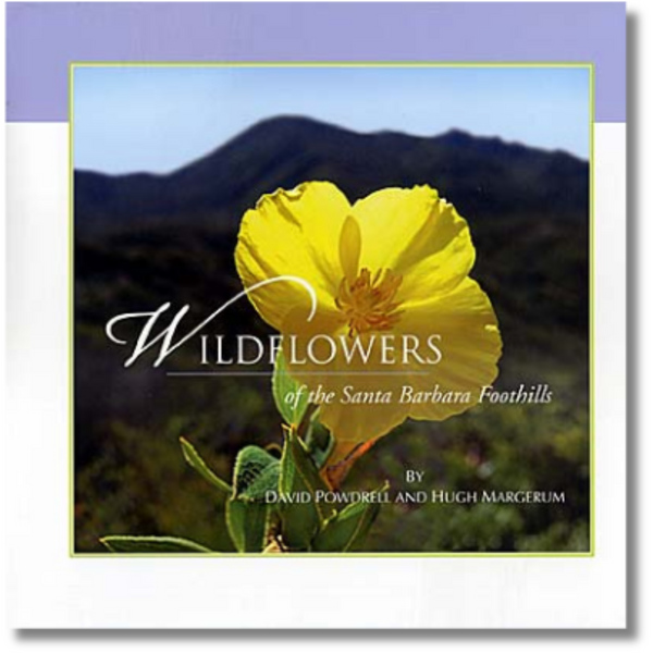 Wildflowers of the Santa Barbara Foothills