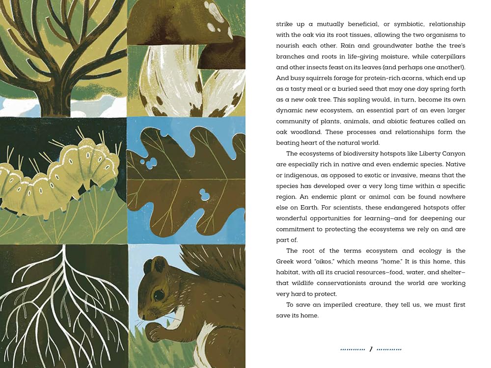 Wildlife Crossings of Hope: Connecting Creatures Around the Globe