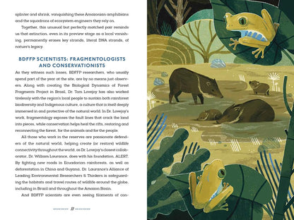 Wildlife Crossings of Hope: Connecting Creatures Around the Globe