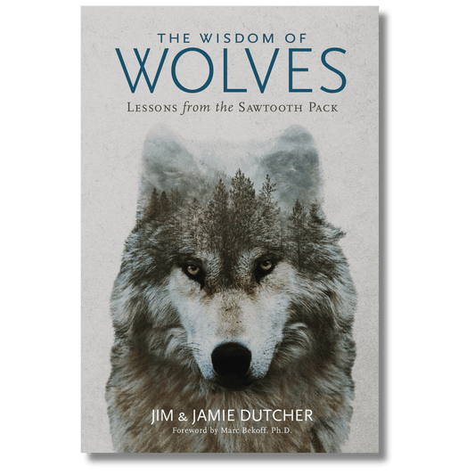 Wisdom of Wolves, The: Lessons From the Sawtooth Pack