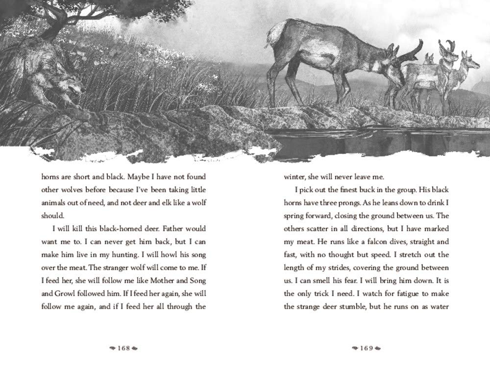 A Wolf Called Wander