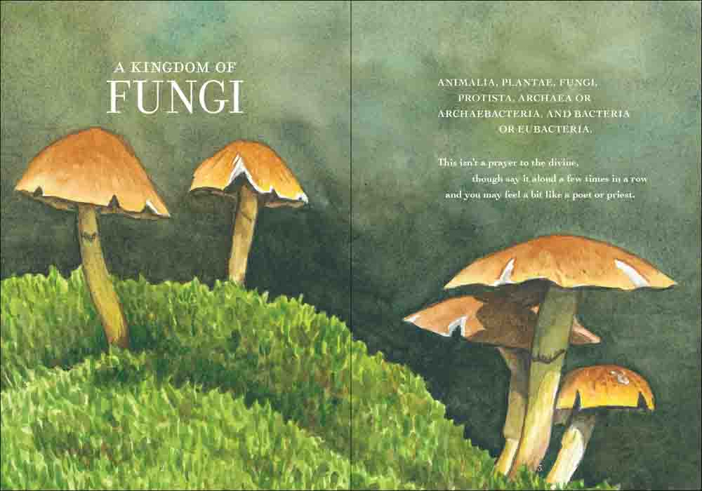 The Wonder of Mushrooms: The Mysterious World of Fungi