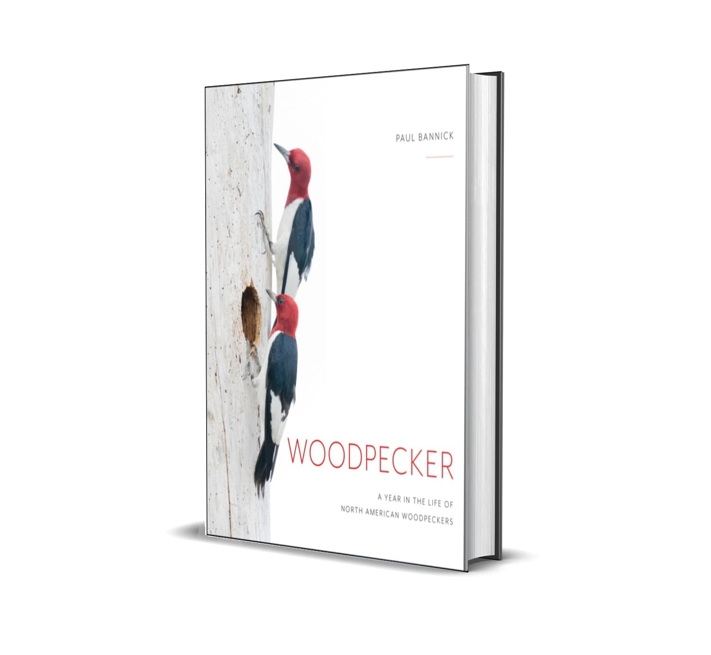 Woodpecker: A Year in the Life of North American Woodpeckers