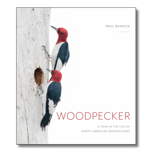 Woodpecker: A Year in the Life of North American Woodpeckers