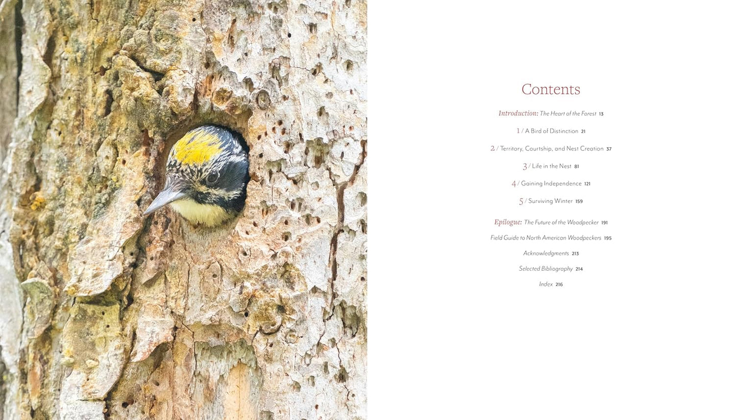 Woodpecker: A Year in the Life of North American Woodpeckers