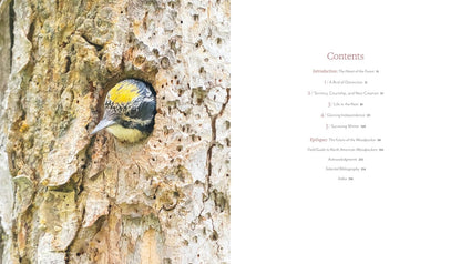 Woodpecker: A Year in the Life of North American Woodpeckers