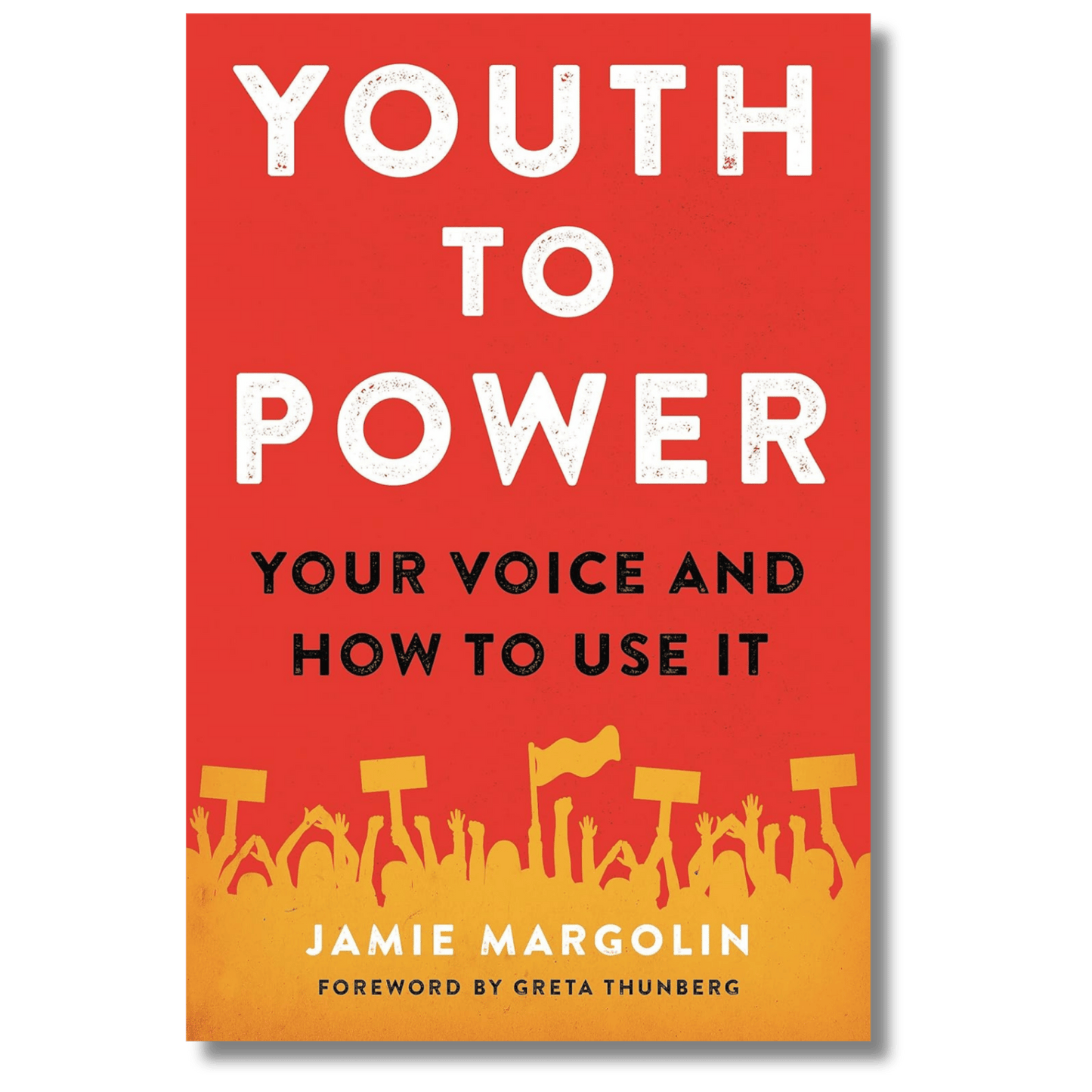 Youth to Power: Your Voice and How to Use It