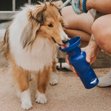 Water Bottle for Pups