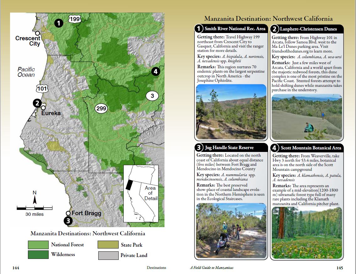Field Guide to Manzanitas