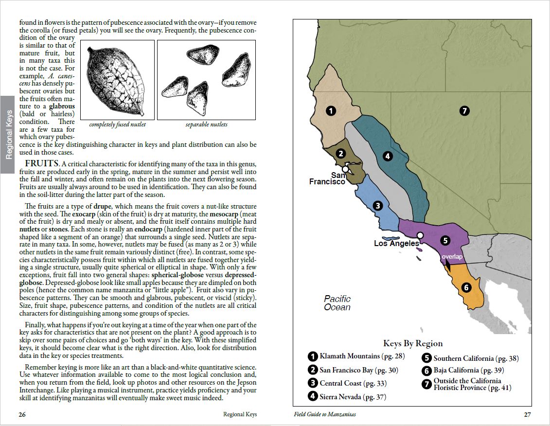 Field Guide to Manzanitas