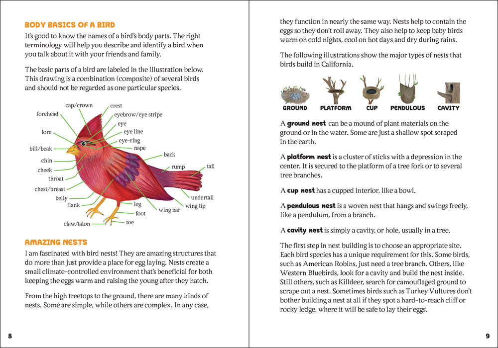 Kids’ Guide to Birds of California