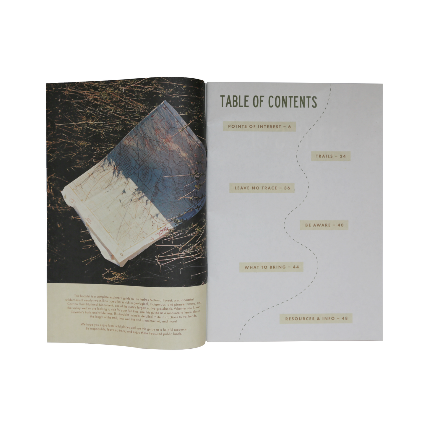 Guide to the Outdoors in Cuyama Valley