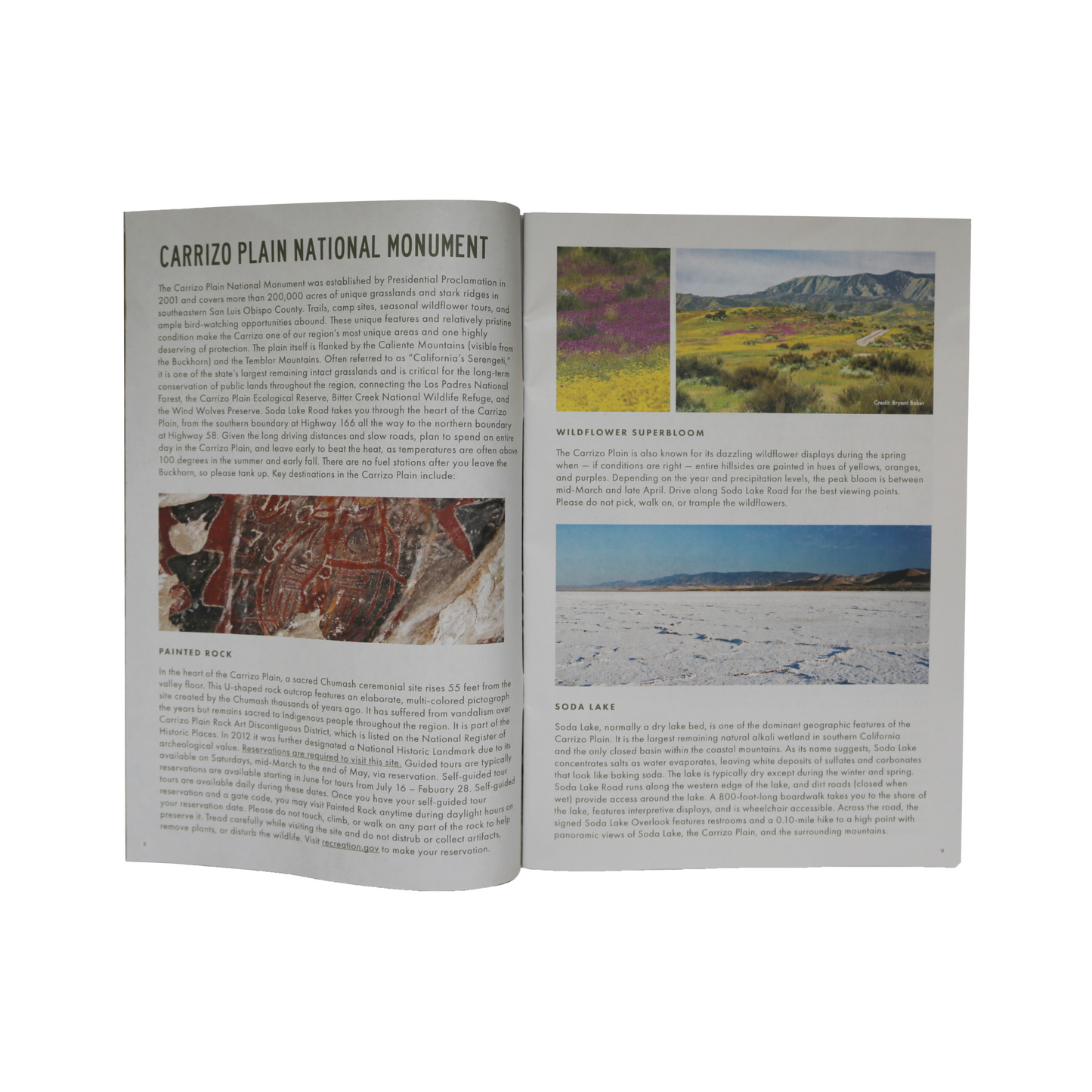 Guide to the Outdoors in Cuyama Valley