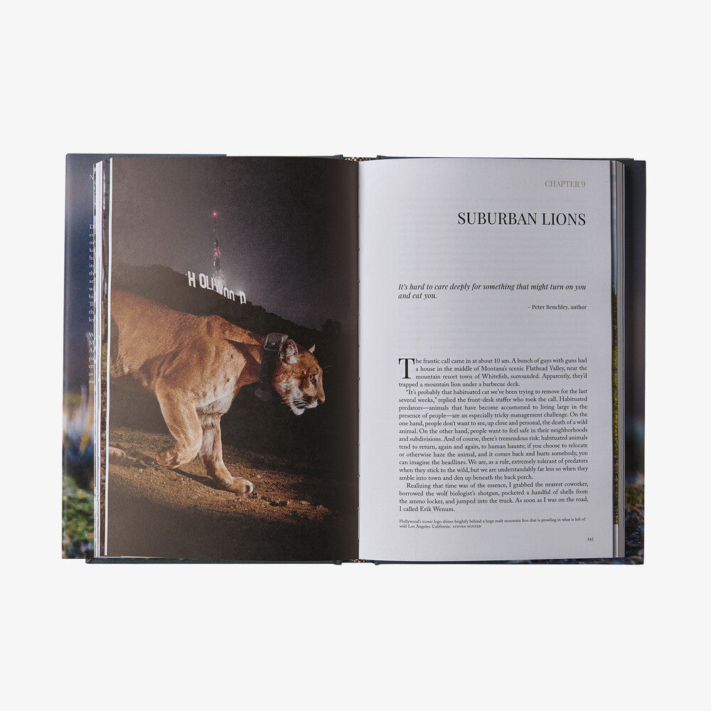 Path of the Puma: The Remarkable Resilience of the Mountain Lion